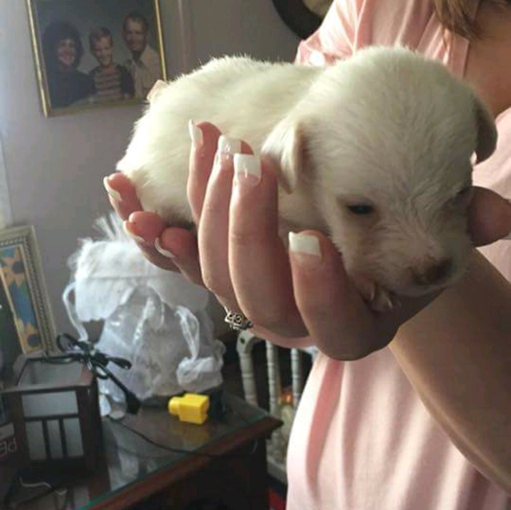 Meet your Posher, Debora